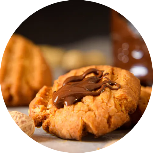 Peanut Butter Fudge Cookies